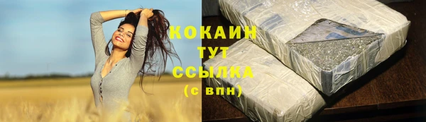 первитин Новозыбков