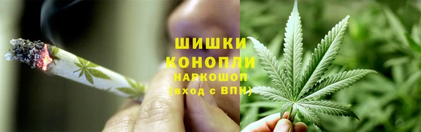 альфа пвп Дмитровск