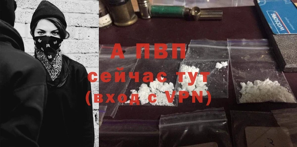 ECSTASY Новокубанск