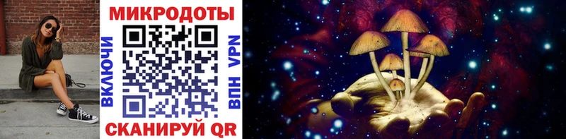 Псилоцибиновые грибы Psilocybe  Купить где  Калач-на-Дону 